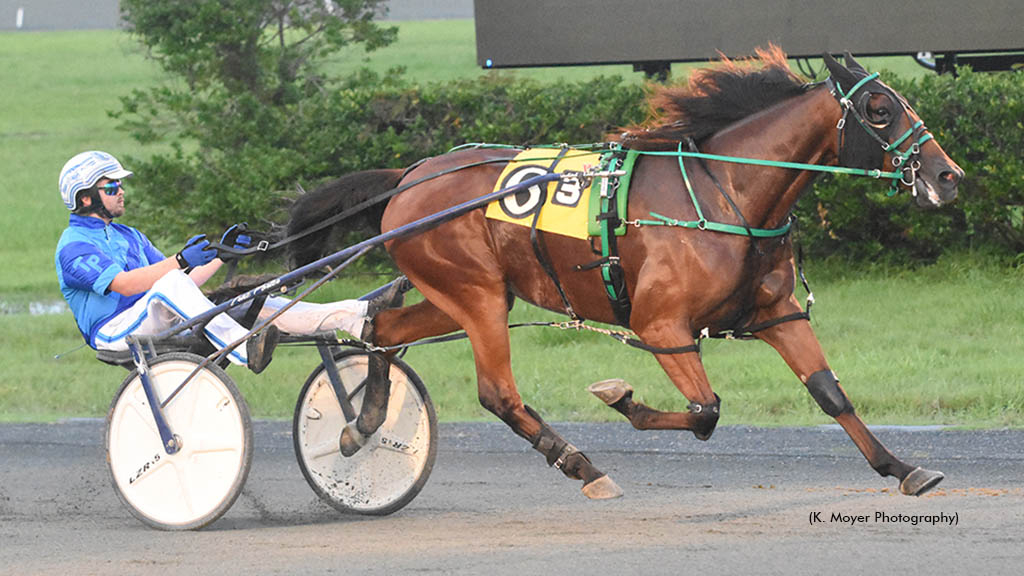 Geralds A Keeper winning at Ocean Downs