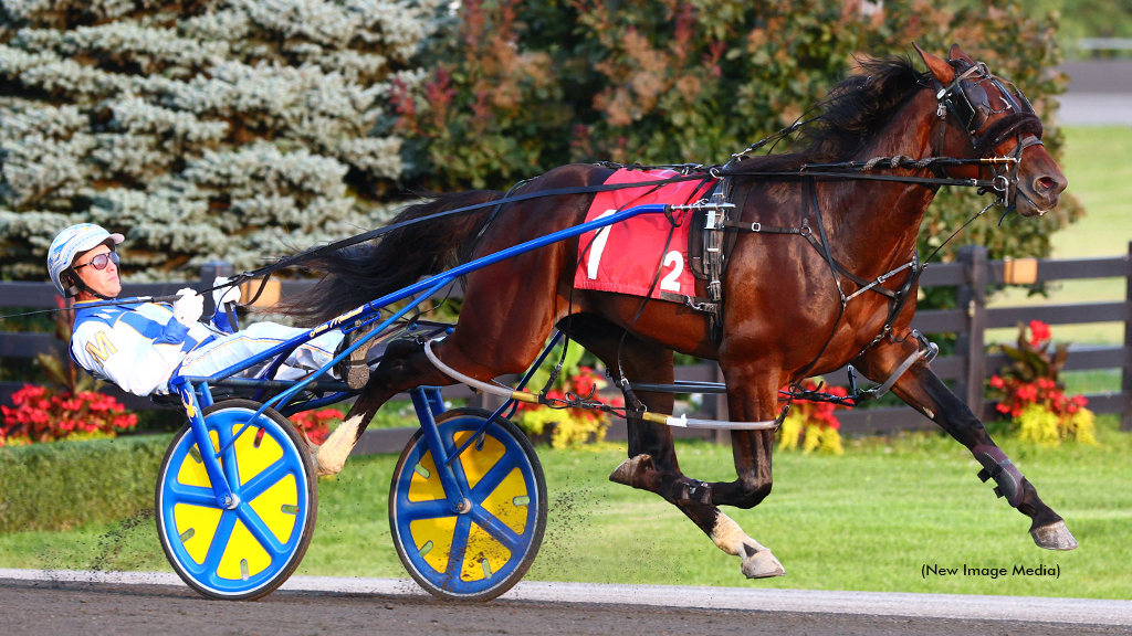 Lite Up The World winning at Woodbine Mohawk Park