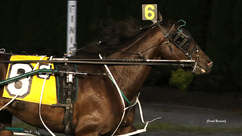 P L Princess C winning at Tioga Downs