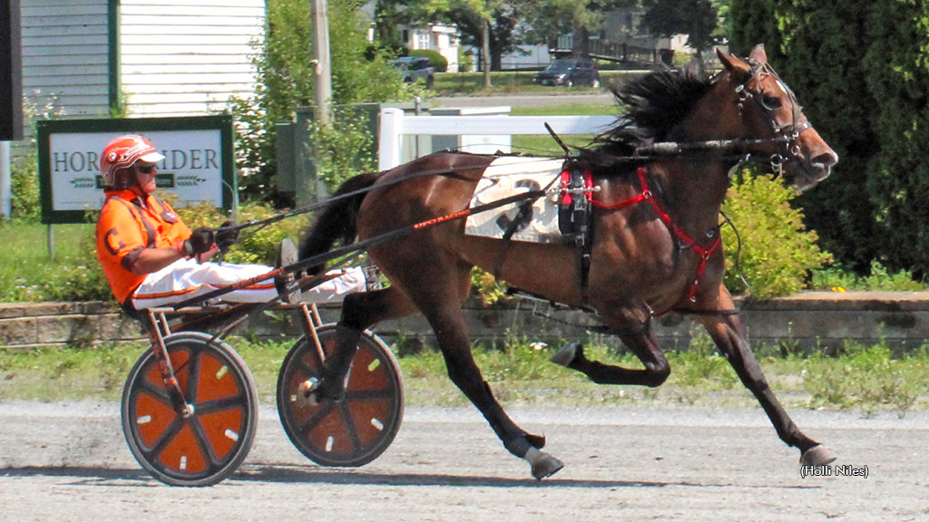 Pembroke Breeze winning at Bangor Raceway