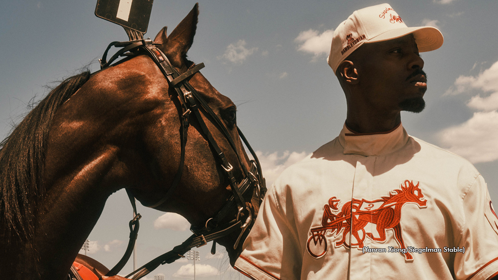 Siegelman Stable's 2024 Hambletonian collection