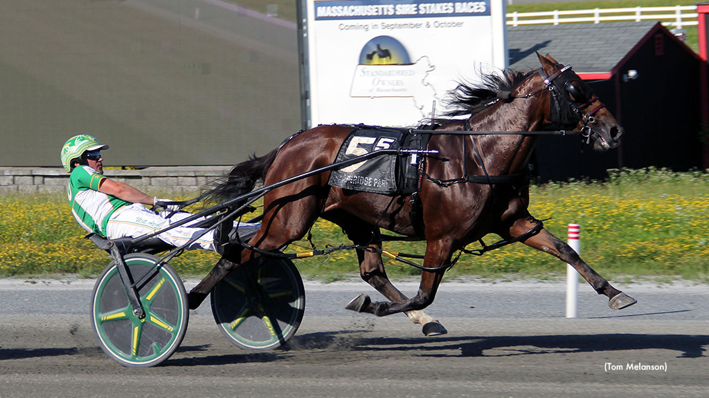 Swedish Starlet N At Her Best In Plainridge Open | Standardbred Canada