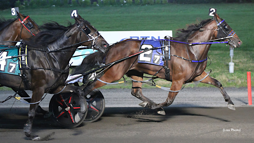 Twin B Joe Fresh Remains Atop Standardbred Poll | Standardbred Canada