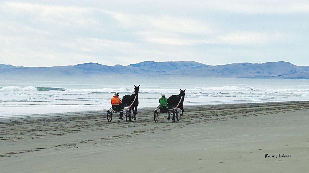 Kevin Lakes and John Dunn jogging Standardbreds on a New Zealand beach