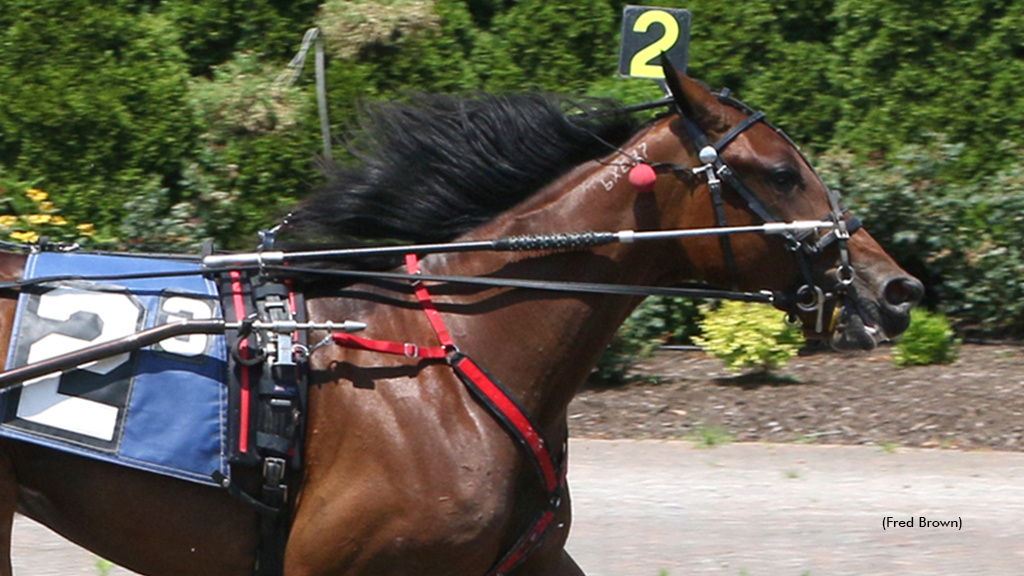 My Debt Collecter winning at Tioga Downs