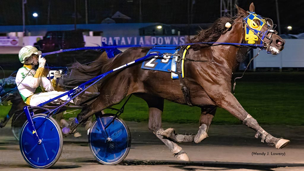 Treasured Tee winning at Batavia Downs