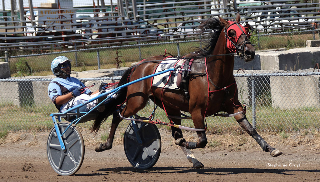 Maine Sophomores Open Windsor Fair Standardbred Canada