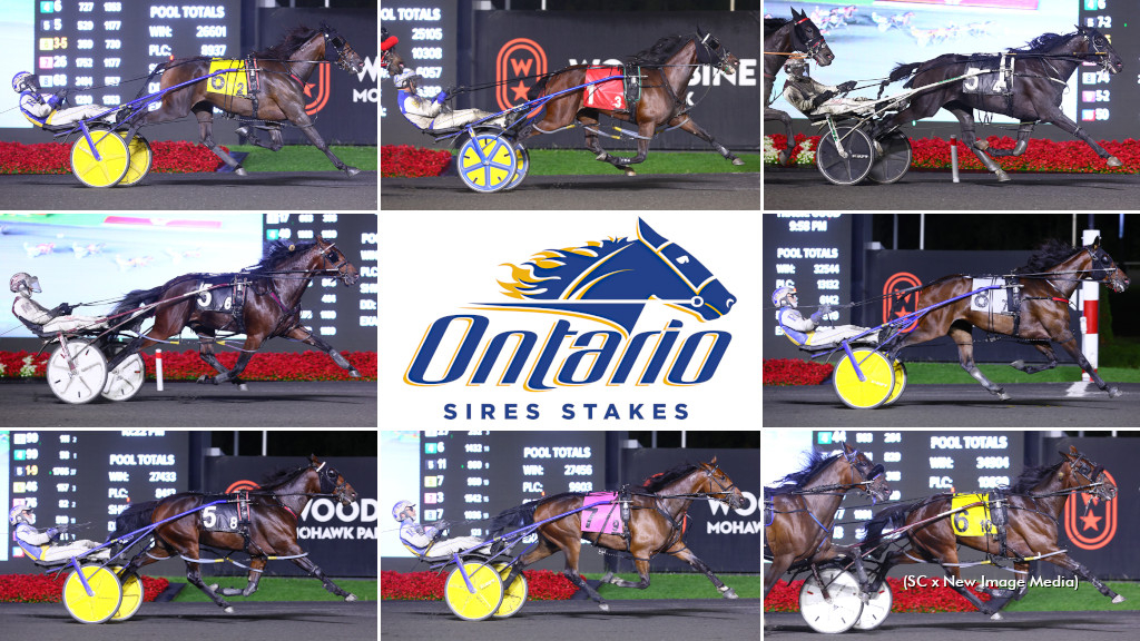 2024 Ontario Sires Stakes Grassroots finals winners