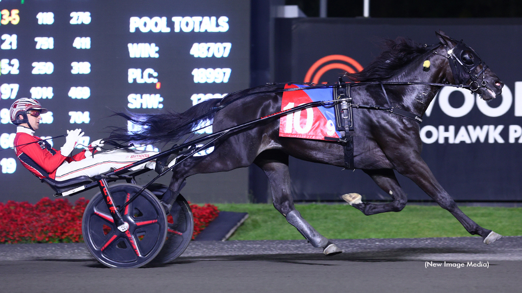 Amazing Catch winning at Woodbine Mohawk Park