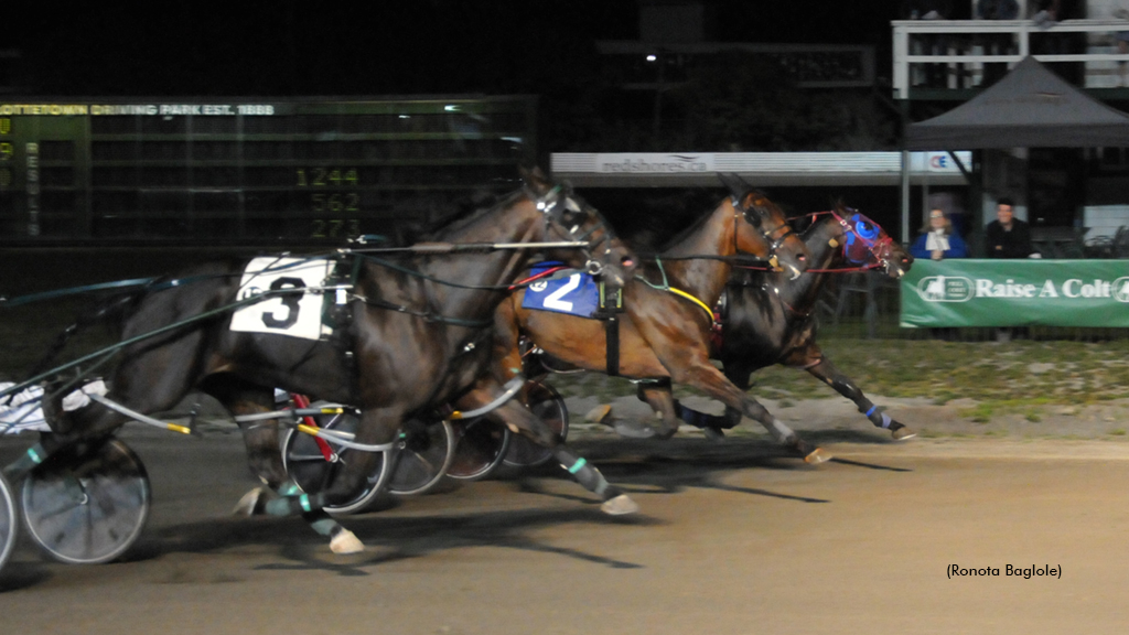 Bee Two Bee winning at Charlottetown Driving Park