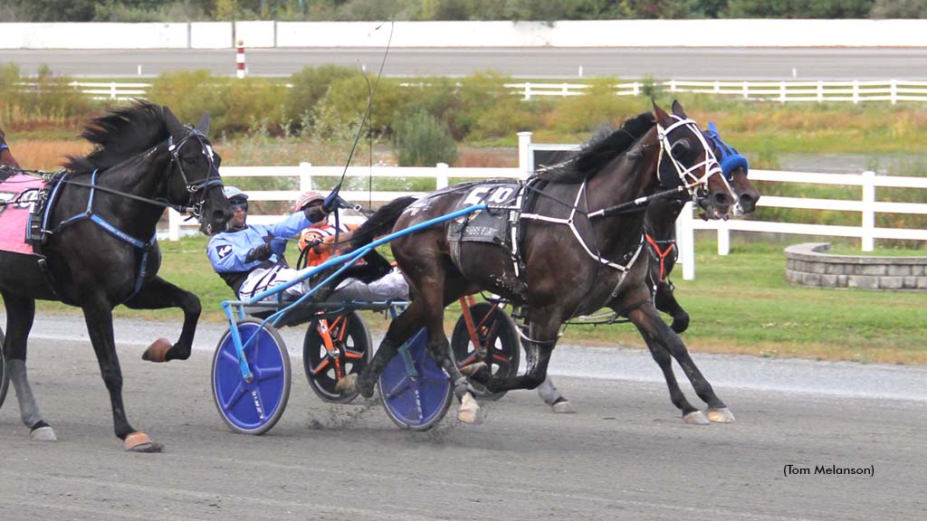 Big Box Hanover winning at Plainridge Park