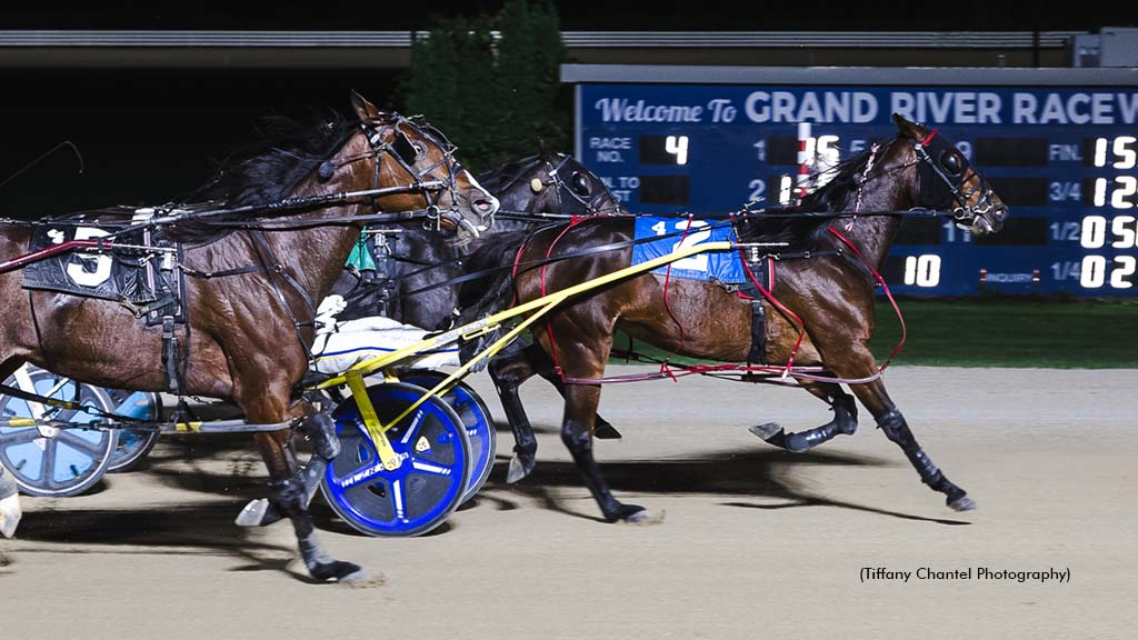 Cheese Party winning at Grand River Raceway