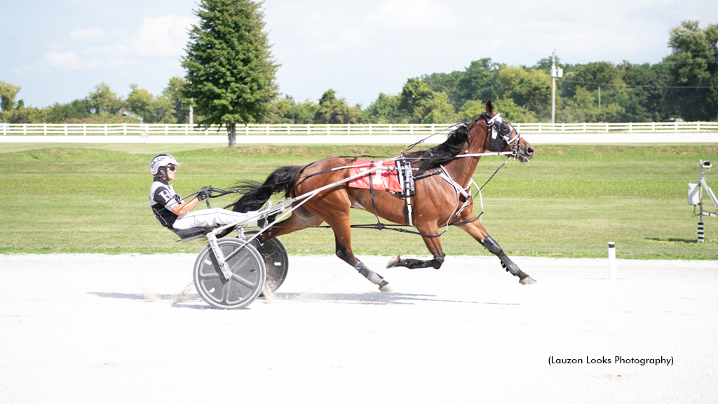 Hally Road winning at Leamington Raceway