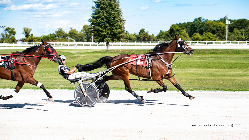 Hally Road winning at Leamington Raceway