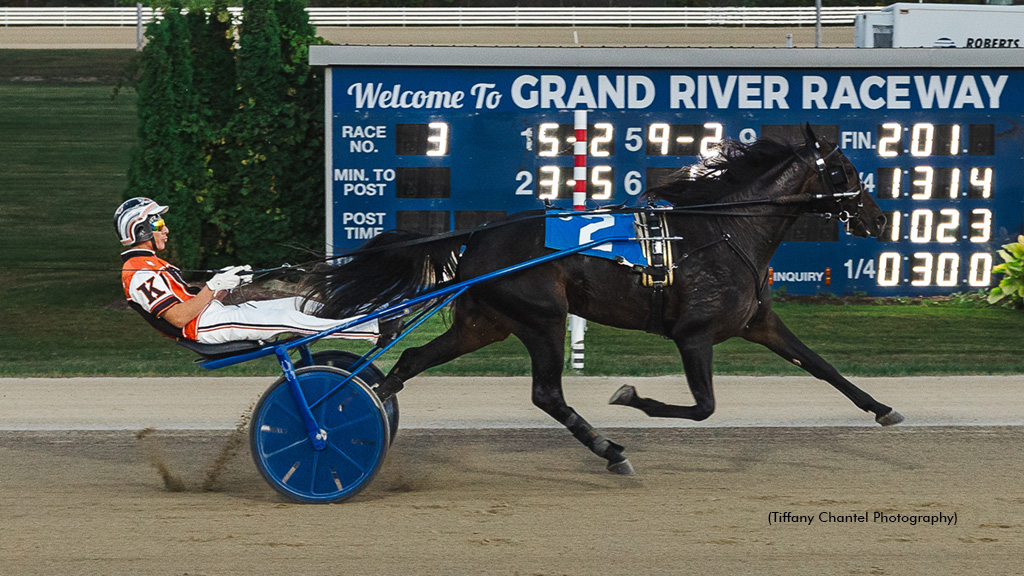 Its Not My Vault winning at Grand River Raceway