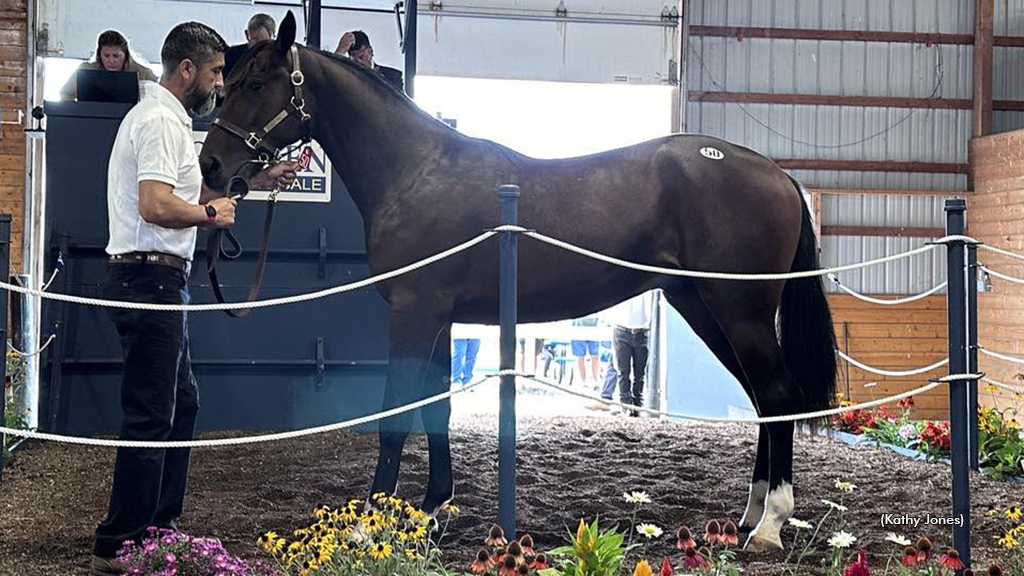 Oppenheimer as a yearling in the sales ring