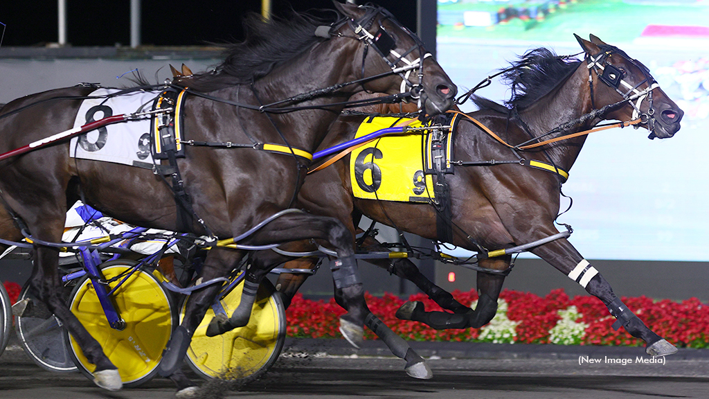 Prohibition Legal winning at Woodbine Mohawk Park