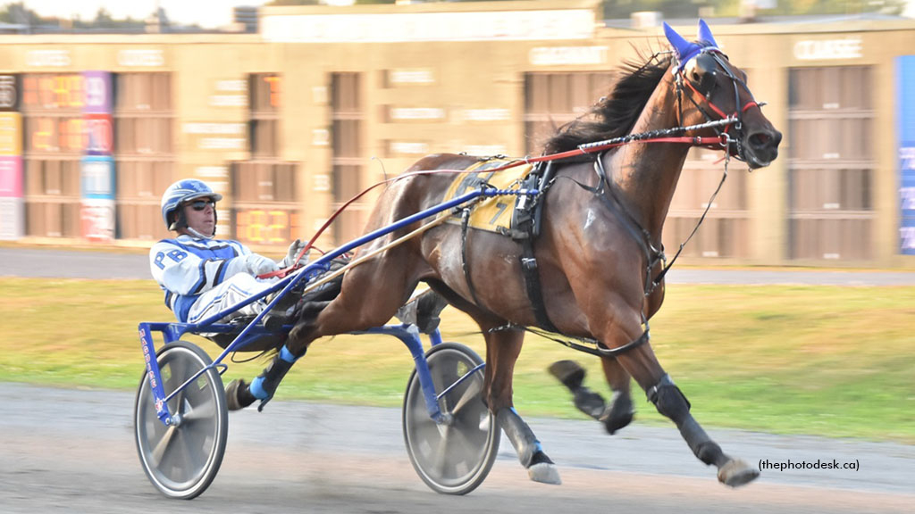 Royalty Beer winning at Hippodrome 3R