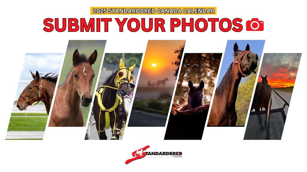 Web image for 2025 harness racing calendar submissions