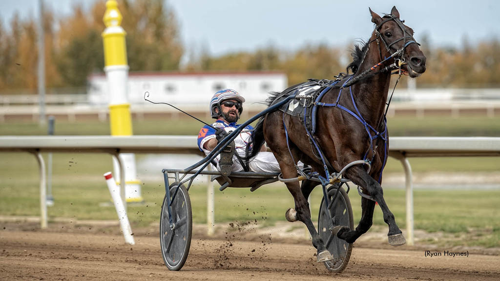 Shark Week winning at Century Mile