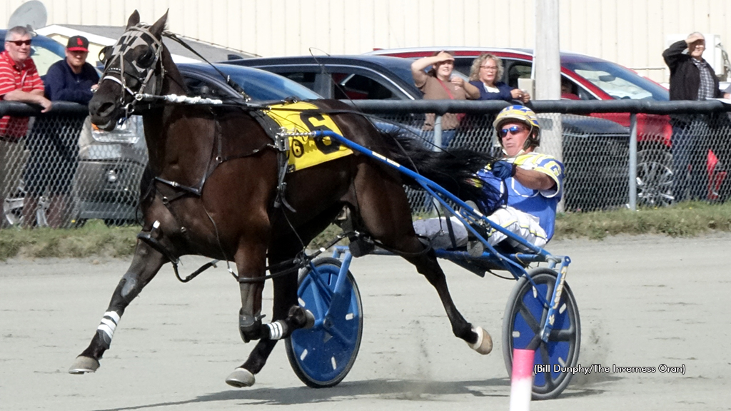 Sir Gain winning at Inverness Raceway