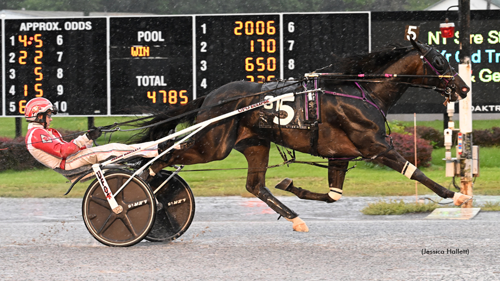 Sir Pinocchio winning at Saratoga Raceway