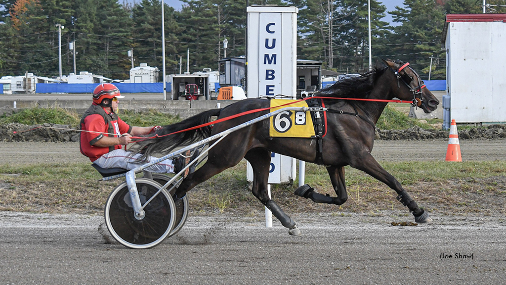 Whatawonder winning at First Tracks Cumberland