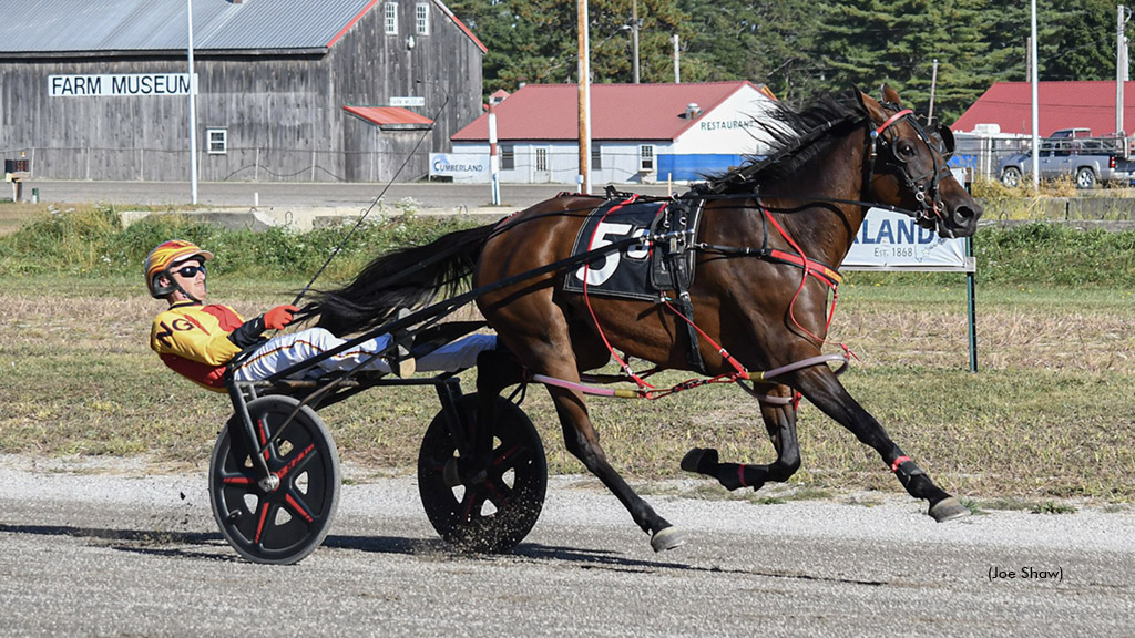 Wolverina winning at First Tracks Cumberland