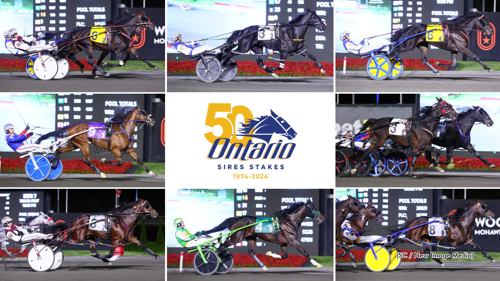 2024 Ontario Sires Stakes Super Final winners