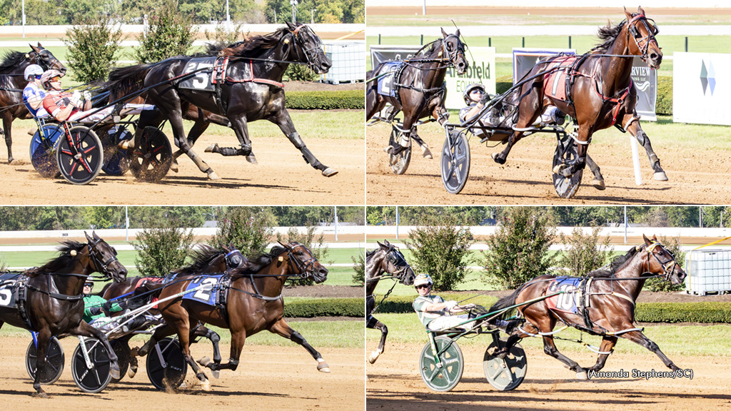 Photos, clockwise from top left, of Logan Park, Sylvia Hanover, Bythemissal and Call Me Goo