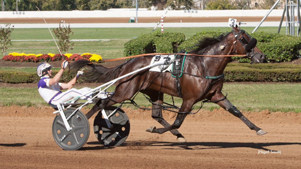 Always B Miki winning at The Red Mile in 2016