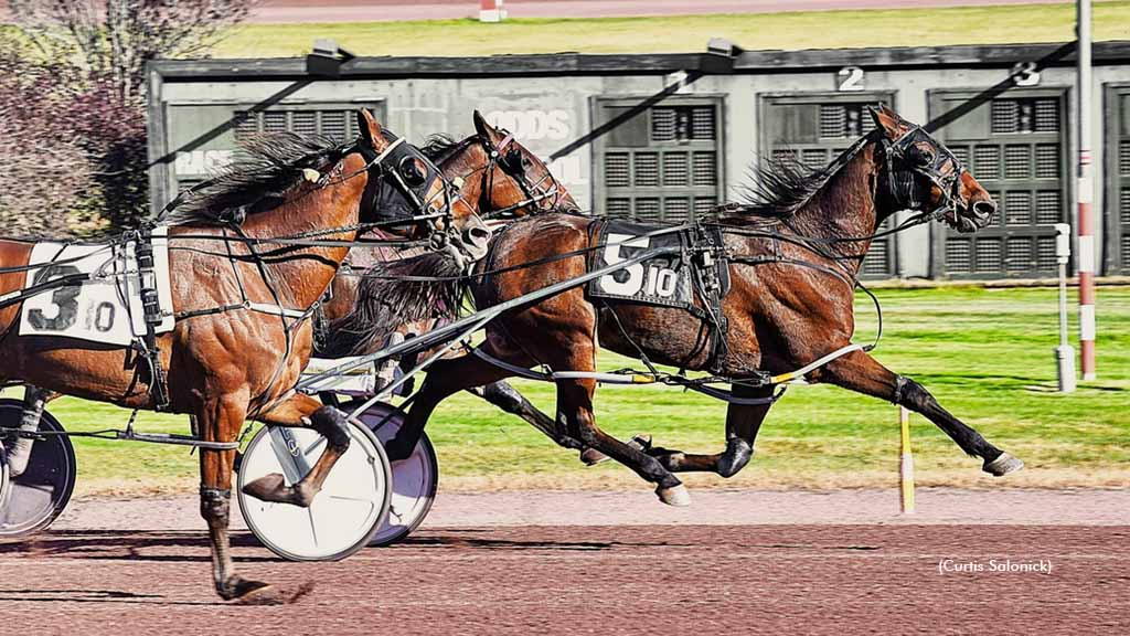 Congressional winning at Pocono Downs