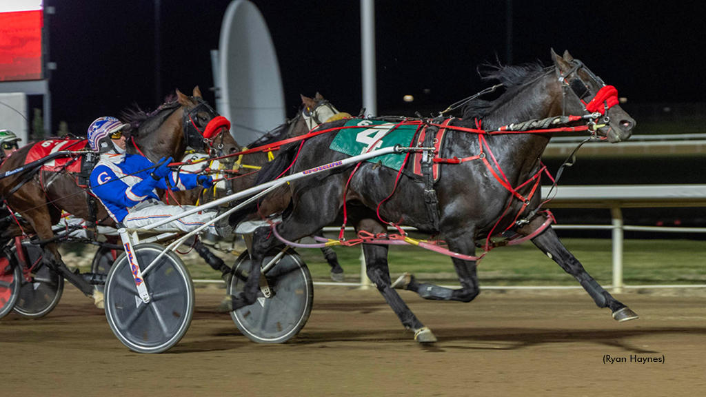 Custers Stand winning at Century Mile