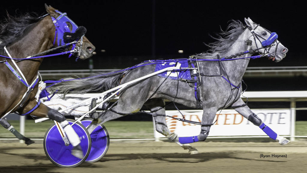 Grey Horizon winning at Century Mile