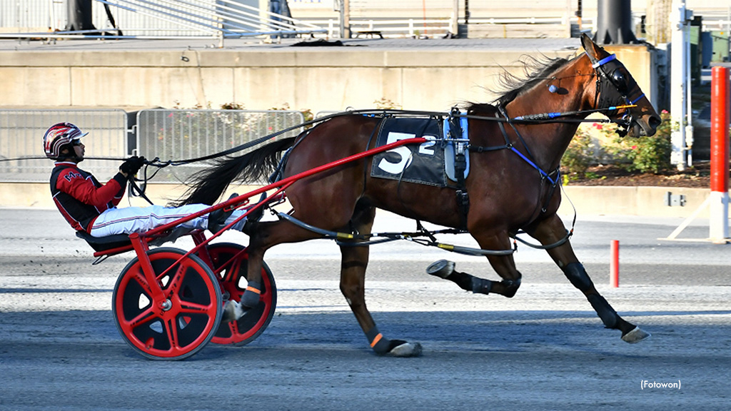 Layton Hanover