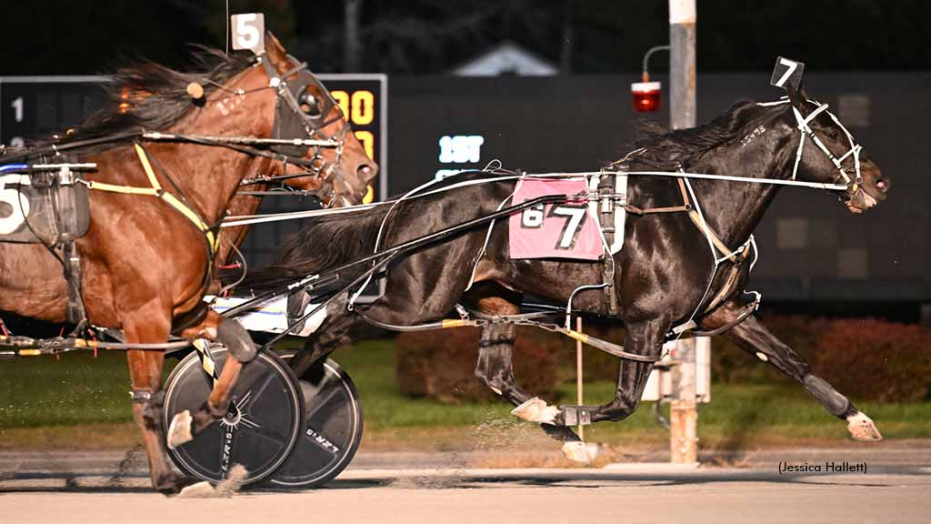 Natameri winning at Saratoga Raceway