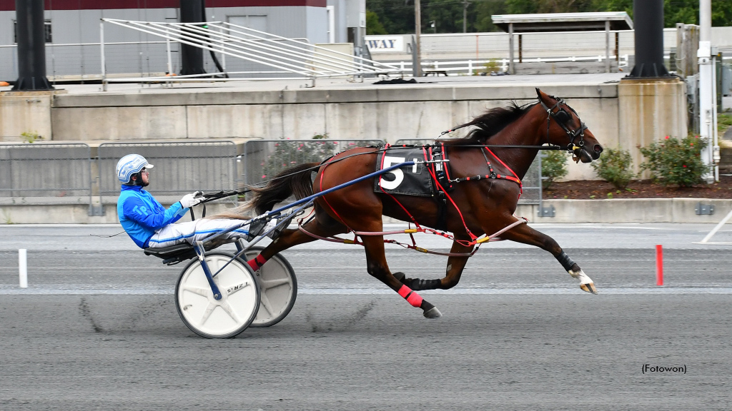 Primo Maschio winning at Harrington Raceway