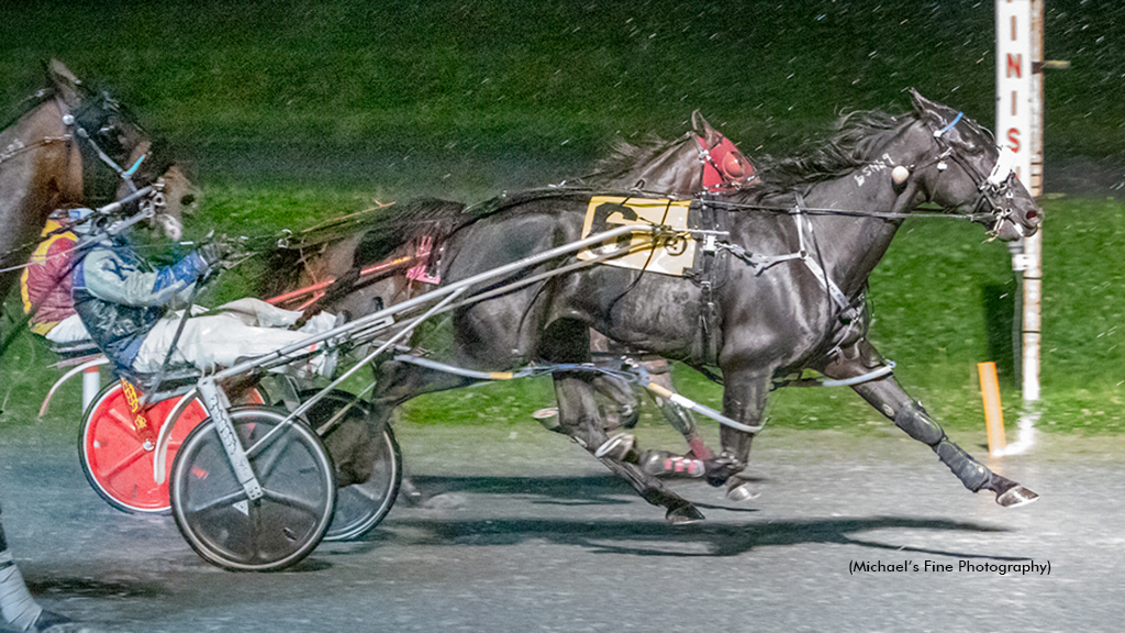 Sunshine Boy winning at Fraser Downs