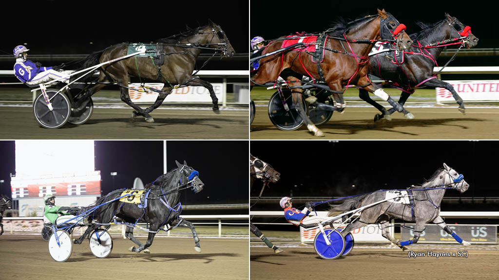 Clockwise from top left: Alberta Super Final winners Custard Dolce, Custers Stand, Grey Horizon and Outlawguns N Roses