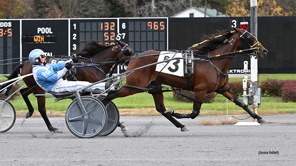 Alittlesidehustl N Bags Saratoga Open Standardbred Canada