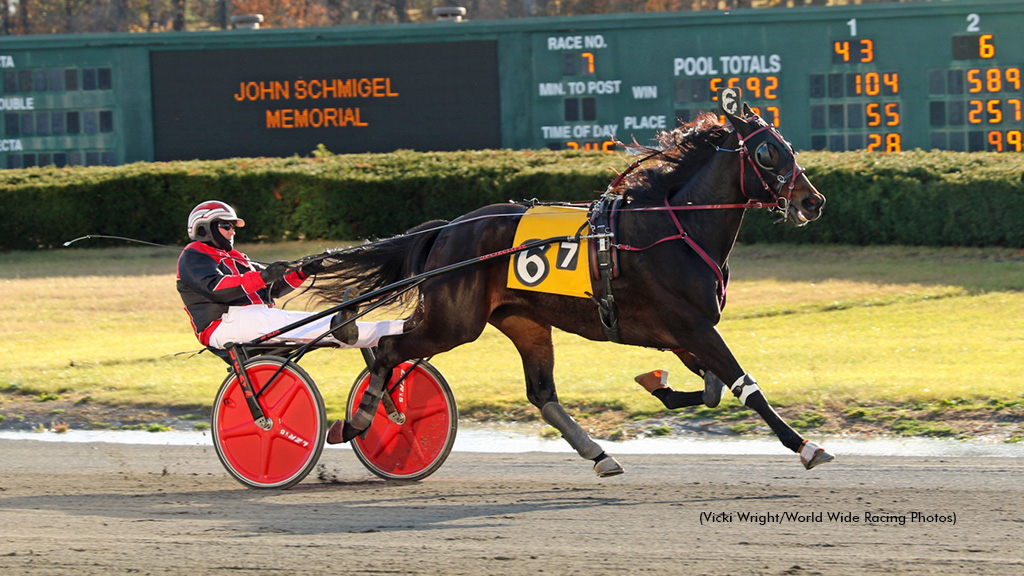 Bacon Beach winning at Freehold Raceway