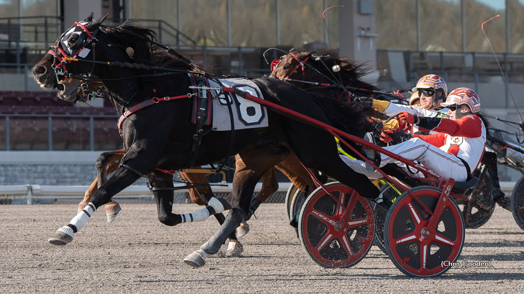 Green Magic at The Meadows for Dave Palone's 21,000th driving win