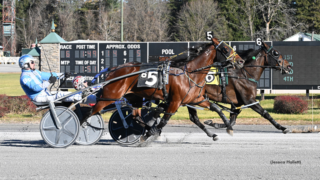 Dragons Lucky Lady winning at Saratoga Raceway