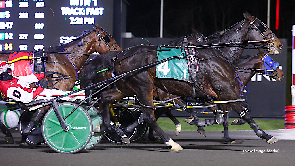 Hervey Hanover and Happy Neighs dead heat to win