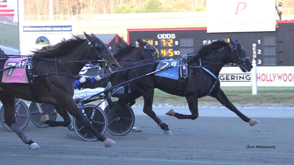 Marquis Lafayette winning at Plainridge Park