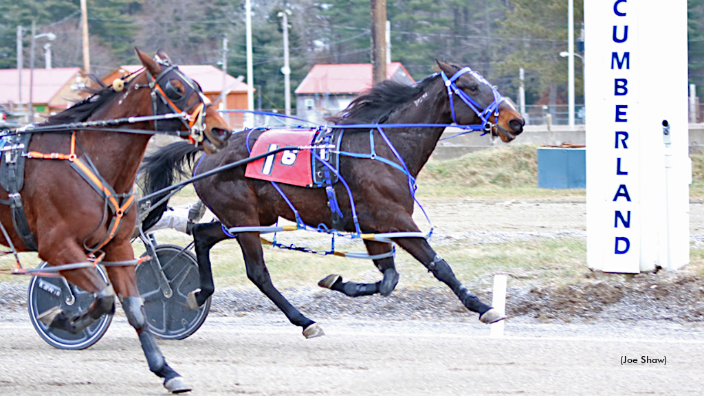 Pretty Gorgeous and Whatchagonnadoboo dead heat at Cumberland