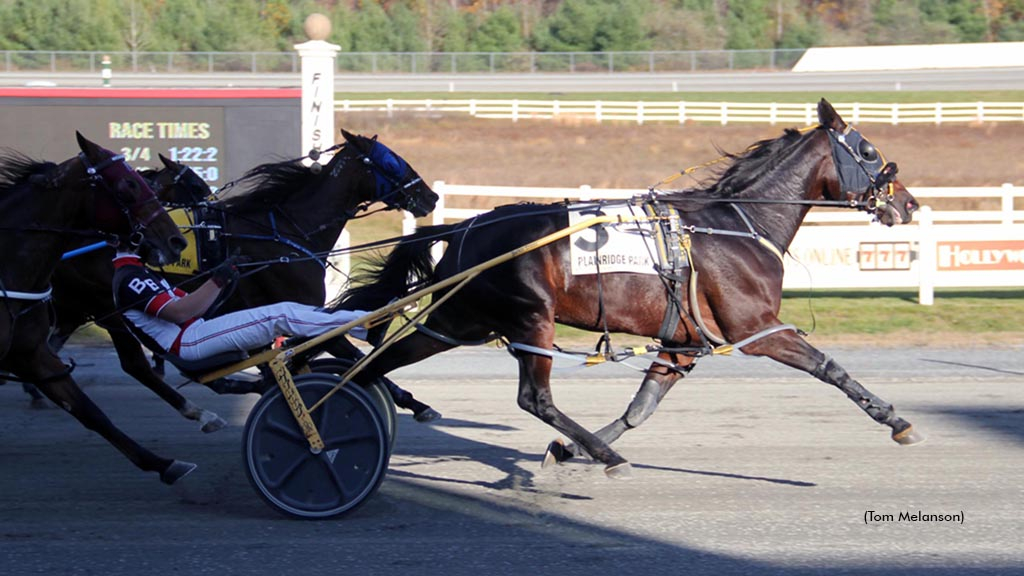 Side Piece winning at Plainridge Park