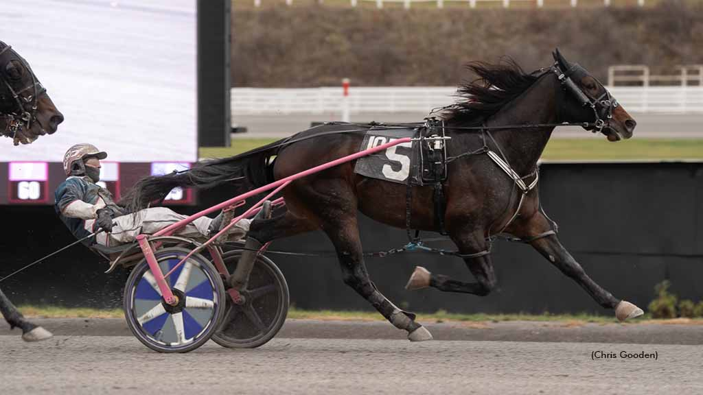 Spitfire Oversees winning at The Meadows