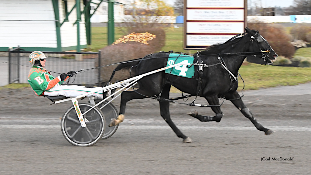 Sugar Bowl, winning at Charlottetown