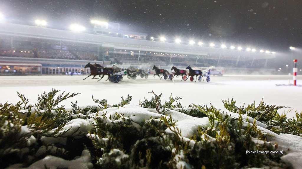 Winter harness racing at Woodbine Mohawk Park